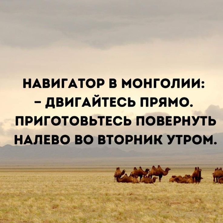 НАВИГАТОР в монголии двигАйтвсь прямо приготовьтесь повернуть НАЛЕВО во вторник утром 1
