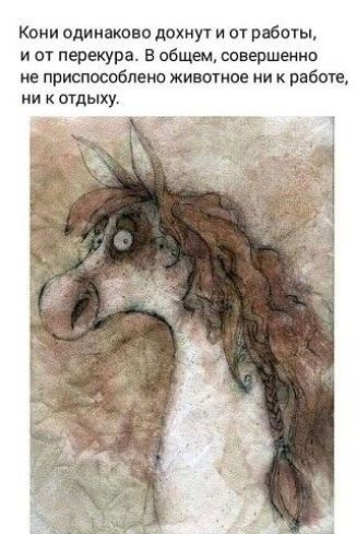 Кони одинаково дохнут и от работы и от перекура В общем совершенно не приспособлено животное ни к работе НИ К отдыху