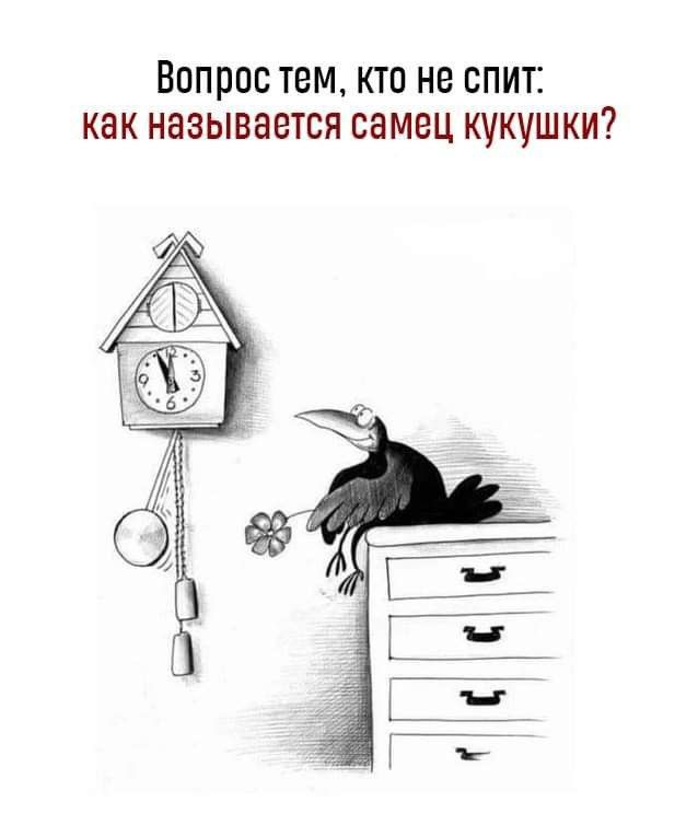 ВОПРОС тем КТП НВ СПИТЕ КНК НЕЗЫВВВТСП СЭМВЦ КУКУШКИ