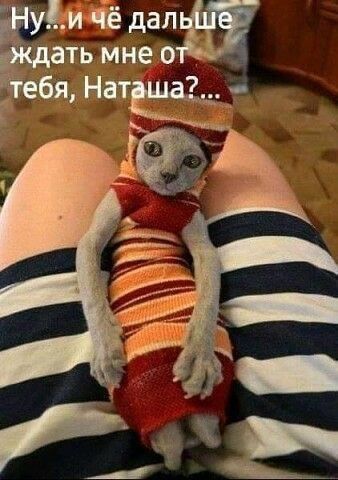 75 по же а Н ЁЁ ФМШ иН а