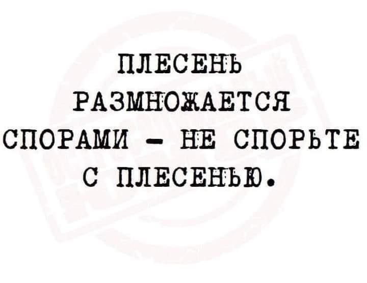 ПЛЕСЕЕЪ РАЗМНОМЕТСЯ СПОРАМИ НЕ СПОРЬТЕ С ПЛЕСЕЕЪЮ