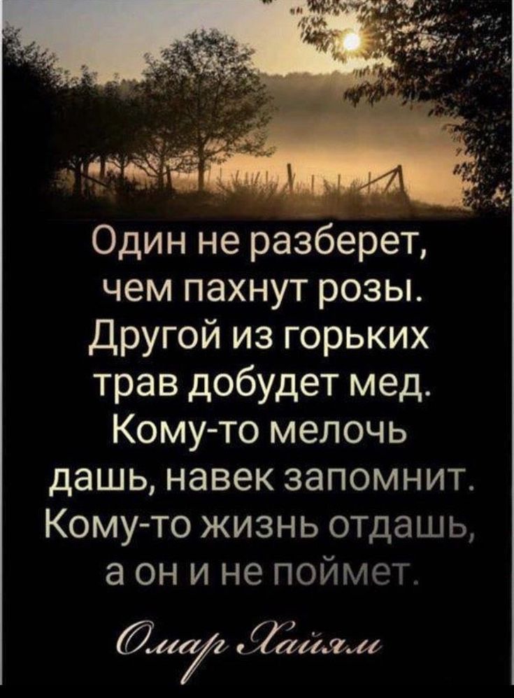 Один не разберет чем пахнут розы Другой из горьких трав добудет мед Кому то мелочь дашь навек запомнит Кому то жизнь отдашь а он и не поймет иа йлж