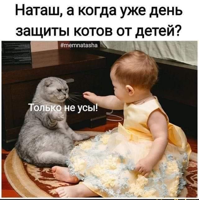 Наташ а когда уже день защиты котов от детей Метпмаана