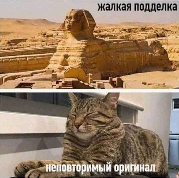 ЖЗЛКЗЯ подделка