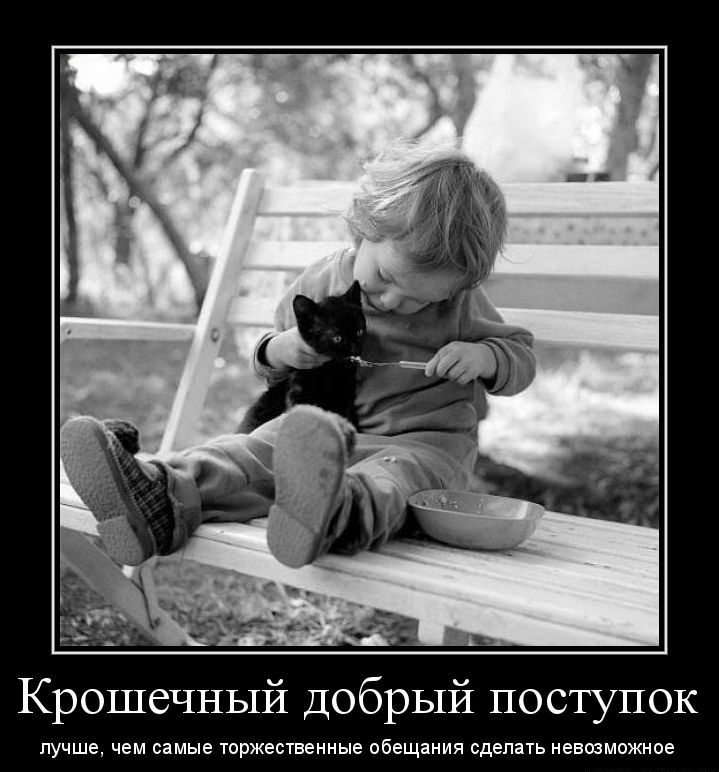 Крошечный добрый поступок лучше чем самые гигантами обещания едет е шможипе