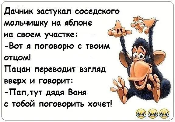 Дачник застукал соседского мальчишку на яблоке на своем участке Вот я поговорю твоим отцом Пацан переводит взгляд вверх и говорит ПапТУТ дядя Ваня тобой поговорить хочет