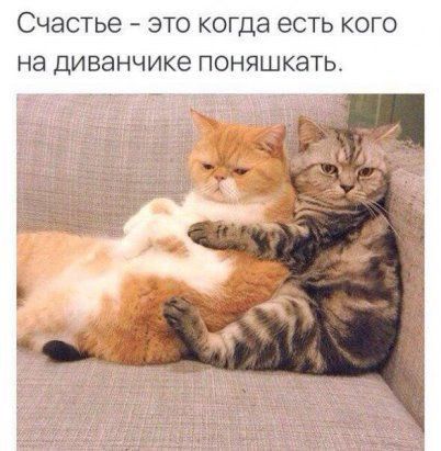СЧЭСТЬЕ ЭТО КОГДЭ ЕСТЬ КОГО Нд ДИВЭНЧИКЗ ПОНЯШКЭТЬ