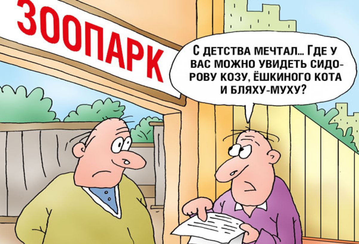 с двтвти мнил ГДЕ у вю можно увидпь видпг рану козу Ешкинигп коп и вилку муху