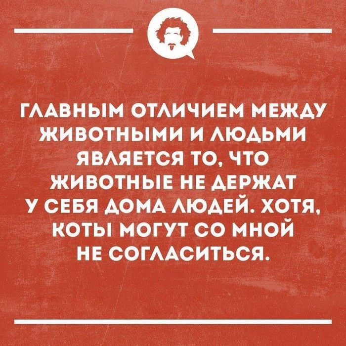 _Ф гААвнын ОТАИЧИЕМ между животными и АЮАЬМИ явмвтся то что животные НЕ АЕРЖАТ у сЕвя АОМА АЮАЕЙ хотя коты могут со мной и СОГААСИТЬСЯ