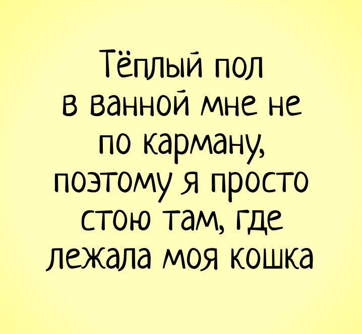 Тёплый пол в ванной мне не по карману поэтому я просто стою там где лежала моя кошка