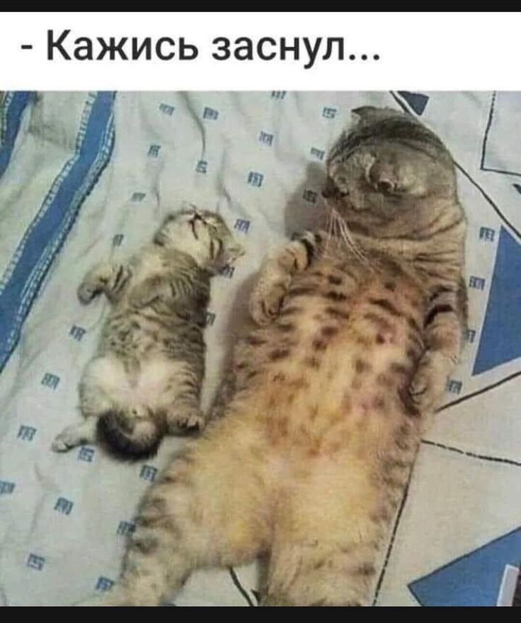 Кажись заснул