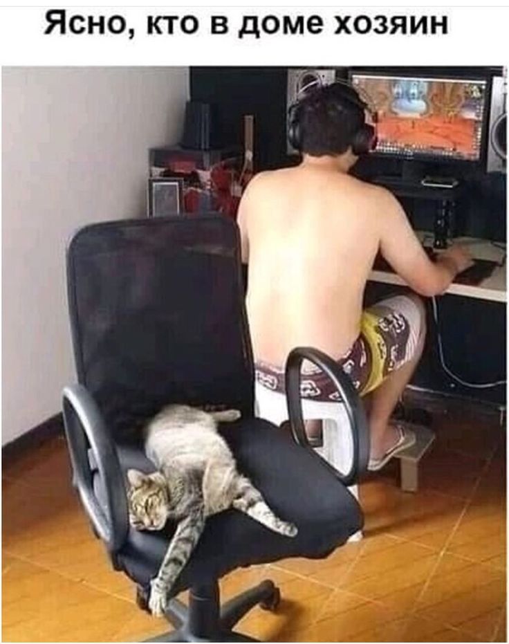 ЯСНО КТО В доме ХОЗЯИН