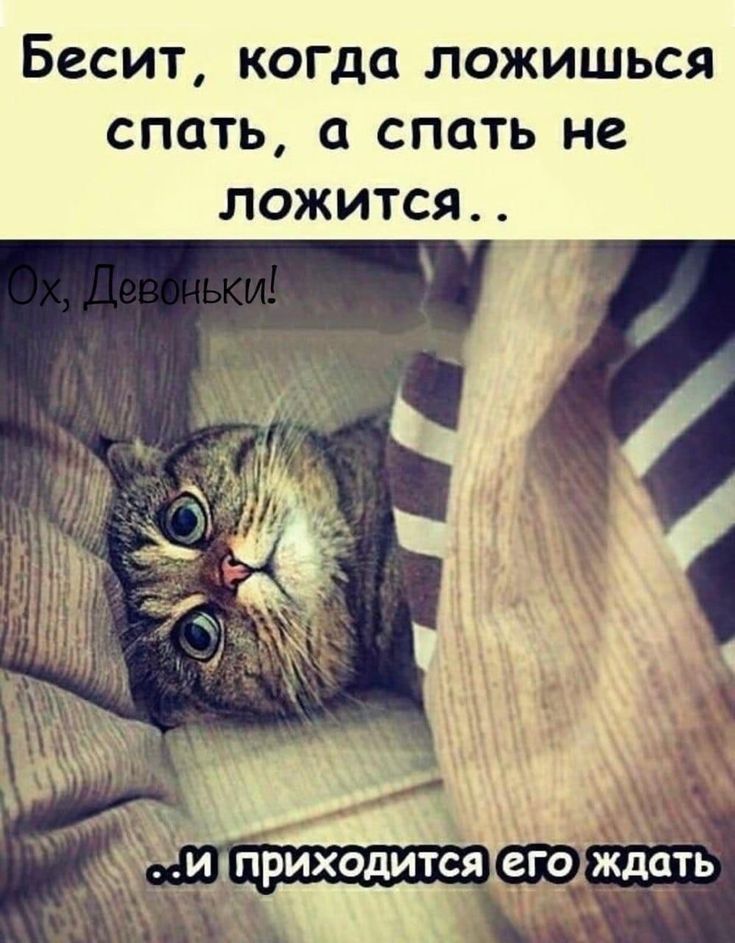 БССИТ когда ЛОЖИШЬСЯ СПОТЬ а спать не ЛОЖИТСЯ