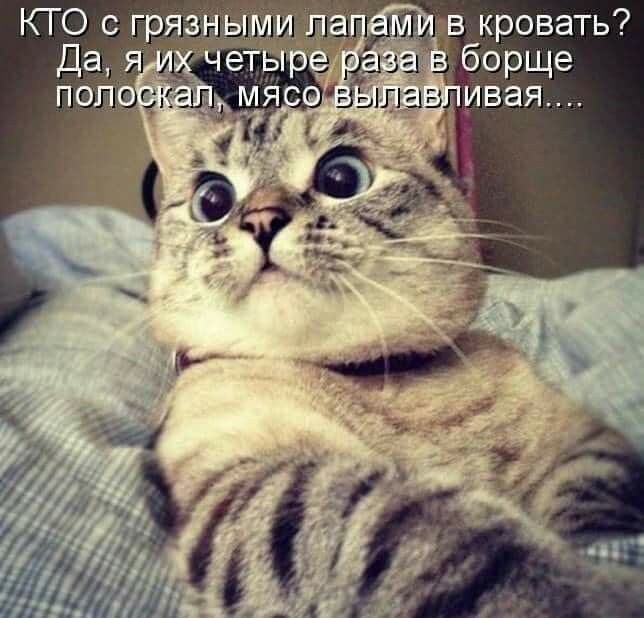 КТО с грязными па г в кровать Да я четыр борще