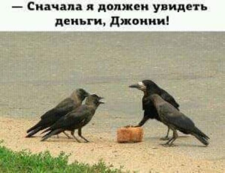Сначала я должен увидеть деньги джонки