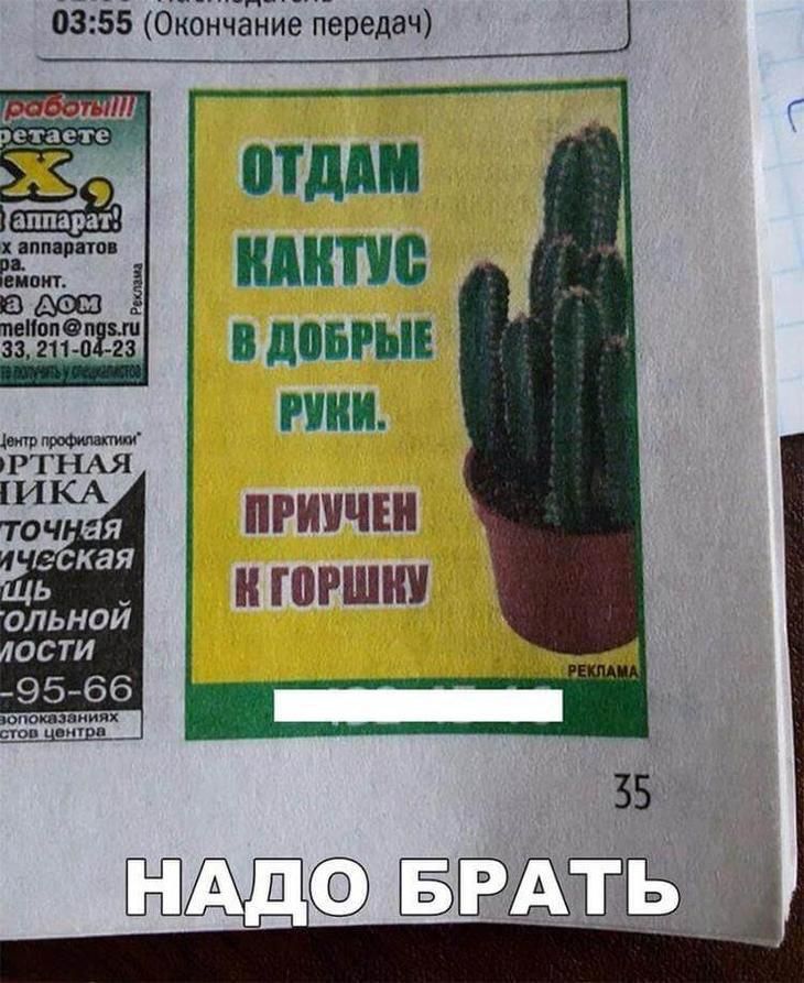 ШШШ МНП и даты раки ПРИПЧШ и ШШШ