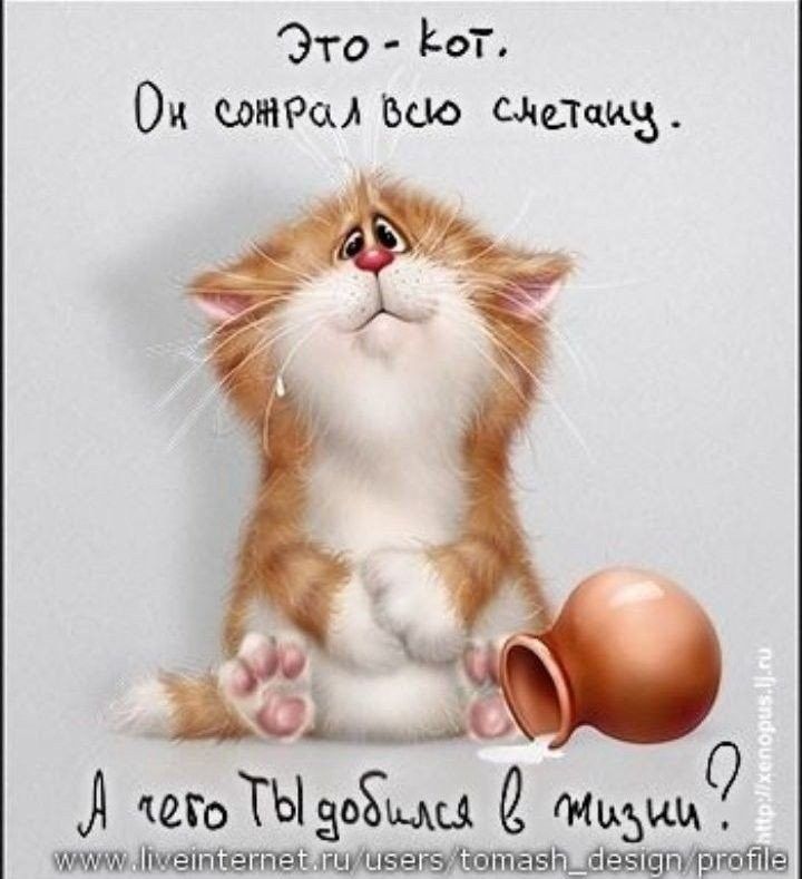 Эта Р от и ширм шо смс3 А еГоТЫдоЁЦЦ Мидии 11