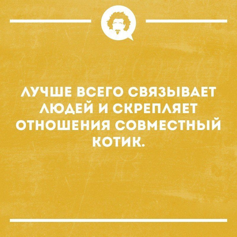 АУЧШЕ всего свяэыміт МОАЕЙ и скрвпмнт отношвния савивстный катки