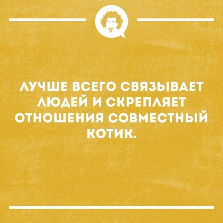 АУЧШЕ всего связыпвт МОАЕЙ и скинтвт отношннця совивстный кбтИк
