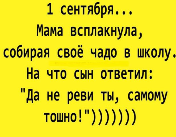 15 дт ш не тн шіт