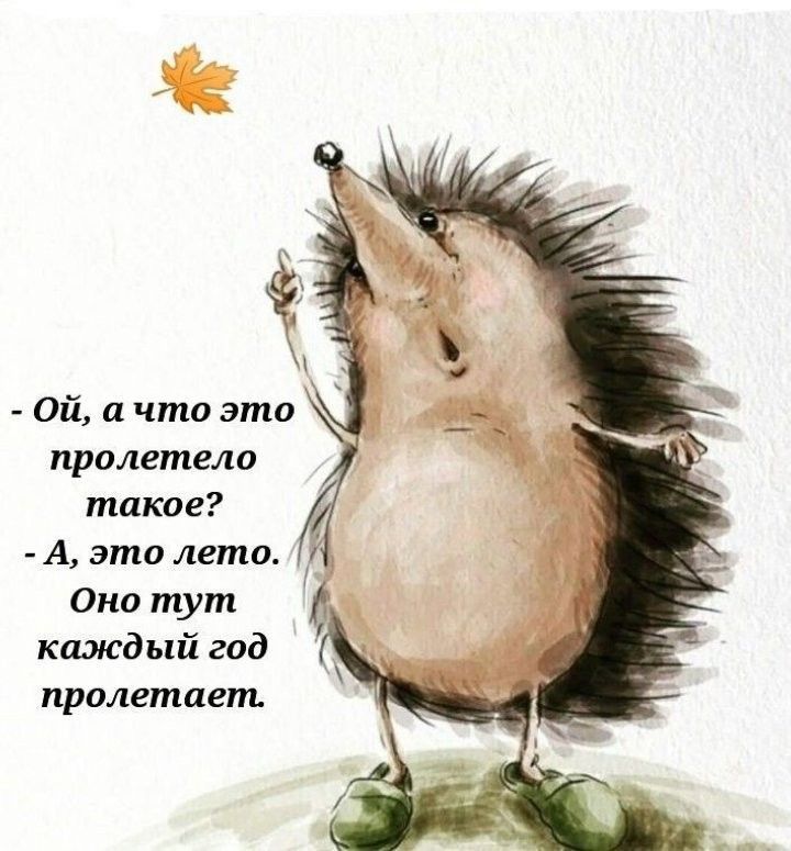 Ой а что это пролетело такое А это лето Оно тут ктдый год пролетает