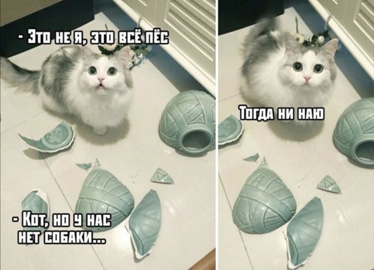 к ППИЦ А 31