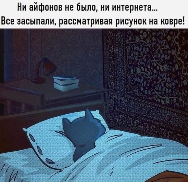 и айфпнпв не было ни итернета Все засыпали рассматривая рисунпк на ковре