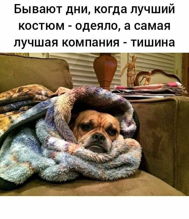 Бывают дни когда лучший костюм одеяло а самая лучшая компания тишина