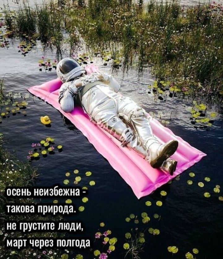 псень неизбежна такова природа це грустите люди маш через полгода 37