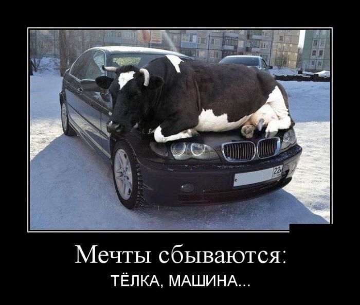Мечты сбываются тёпкд МАШИНА