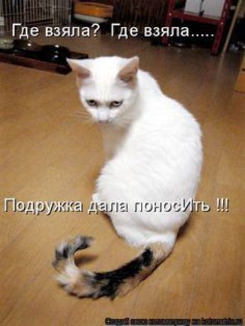 Р Где взяла Где взяла