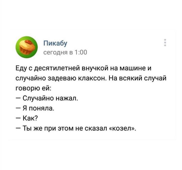 Пикабу сегодня в 1 ПО Едус десятилетней внучкой на машине и случайно заденет клаксон На всякий случай говорю ей Случайно нажал я поняла Как Ты же при этом не сказал козел