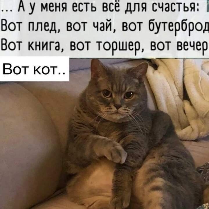у меня есть все для счастья Вот плед вот чай вот бутербро Вот книга вот торшер вот вечер