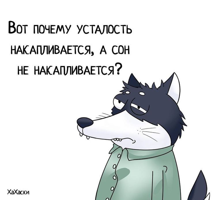 Вот почему УСТАЛОСТЬ НАКАПЛИВАЕТСЯ А сон нв НАКАПМВАЕТСЯ ХвХшт