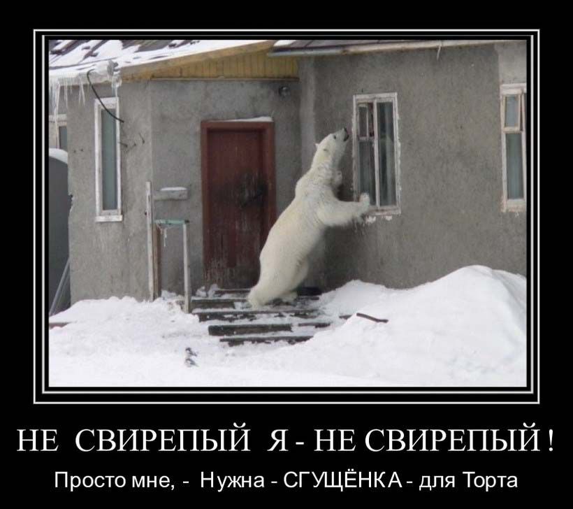 НЕ СВИРЕПЫЙ я_ НЕ СВИРЕПЫЙ Просто мне _ Нужна _ СГУЩЁНКА для Тоша