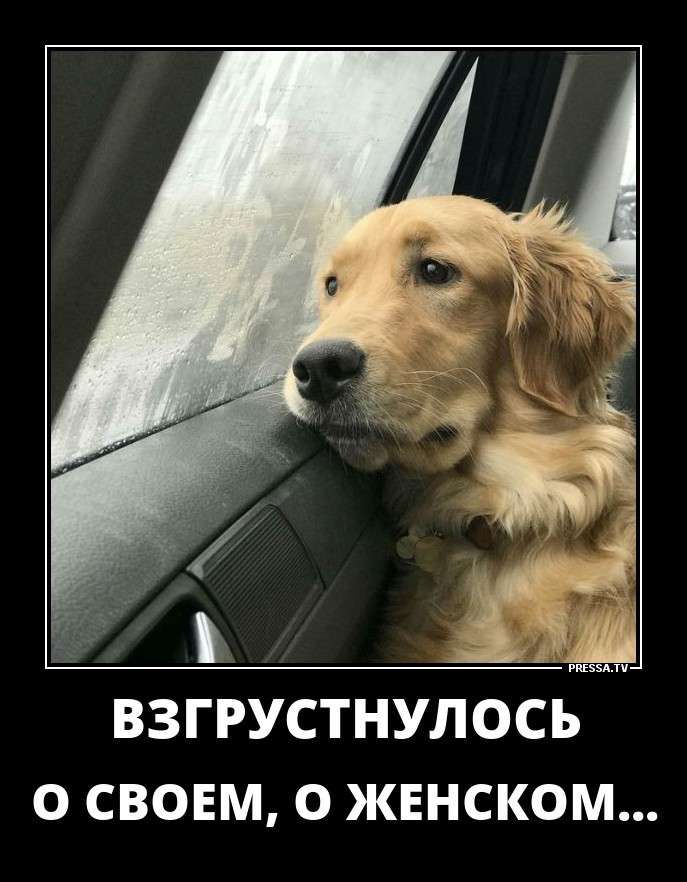 ВЗГРУСТНУЛОСЪ О СВОЕМ О ЖЕНСКОМ Ж