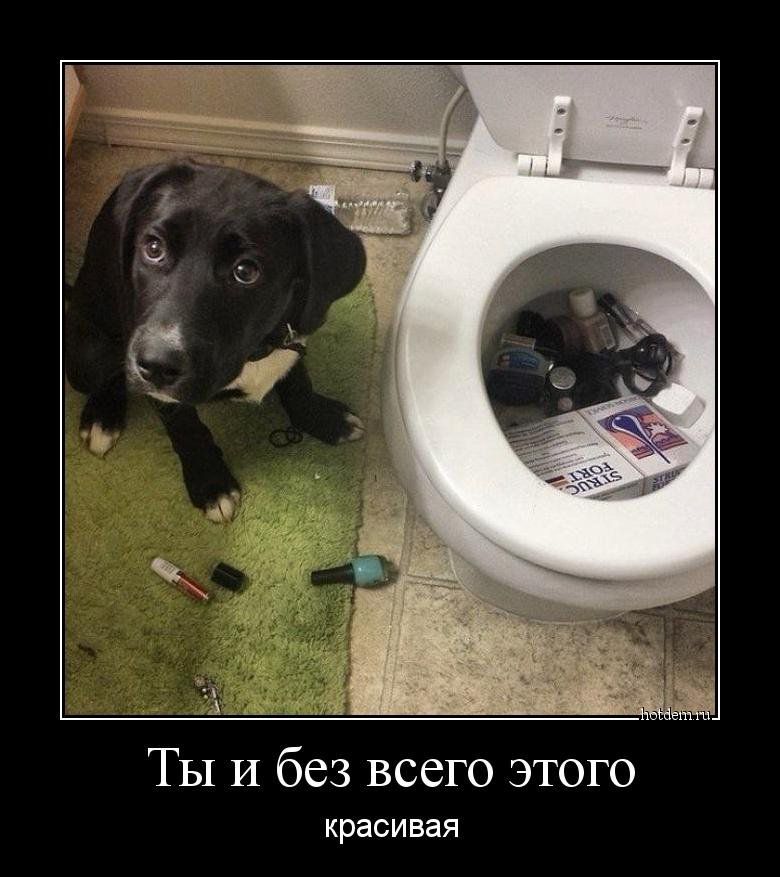 3 ТЫ И без ВССГО ЭТОГО красивая