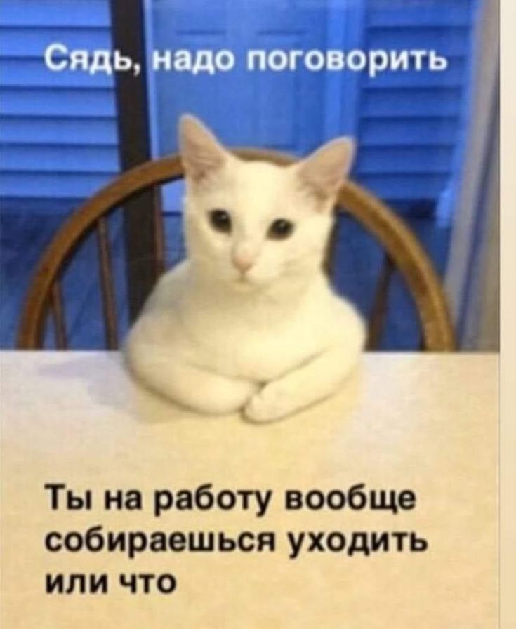 Ты на работу вообще собираешься уходить или что