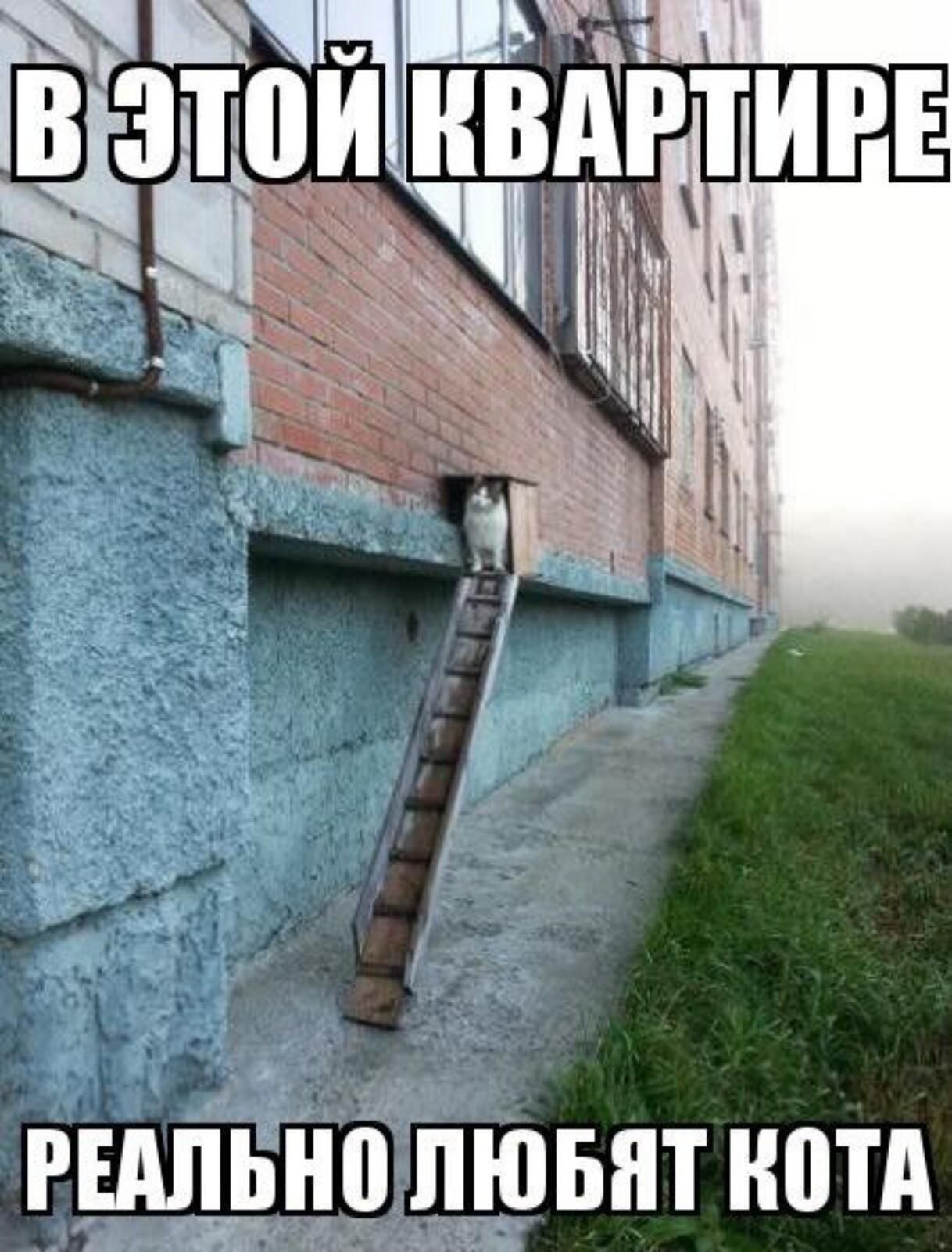 шпёно пювнт нотА