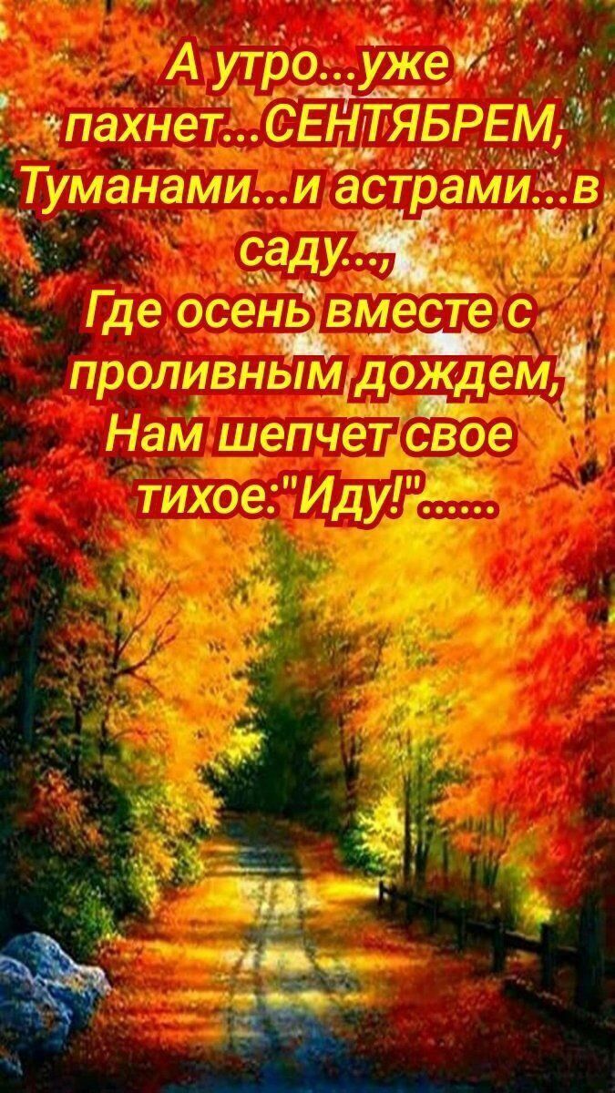 ЭМИ Вг 7 местё _ міні _проливнымщождем __ Аш