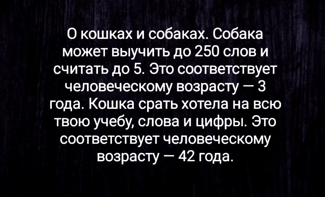 О кошках и собаках Собака может выучить до 250 слов и считать до 5 Это соответствует человеческому возрасту 3 года Кошка срать хотела на всю твою учебу слова и цифры Это соответствует человеческому возрасту 42 года