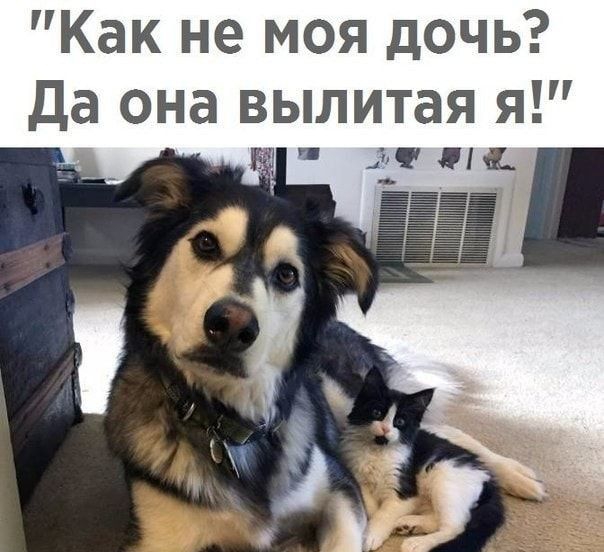 Как не моя дочь да она вылитая я