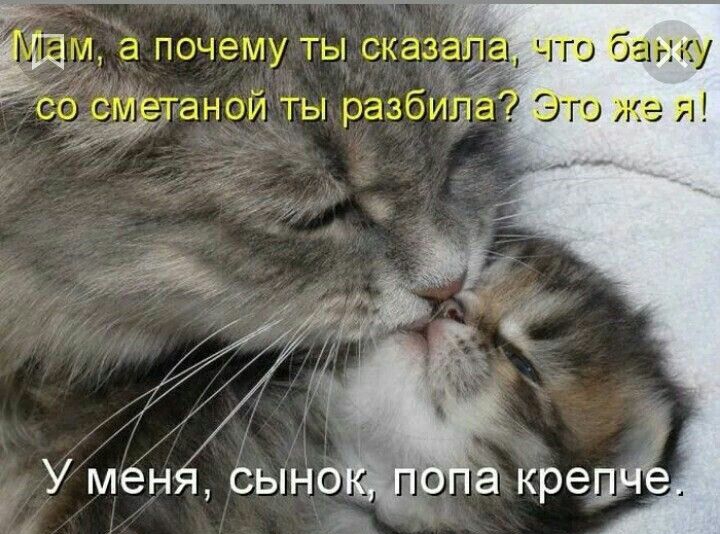 Ё что бабку