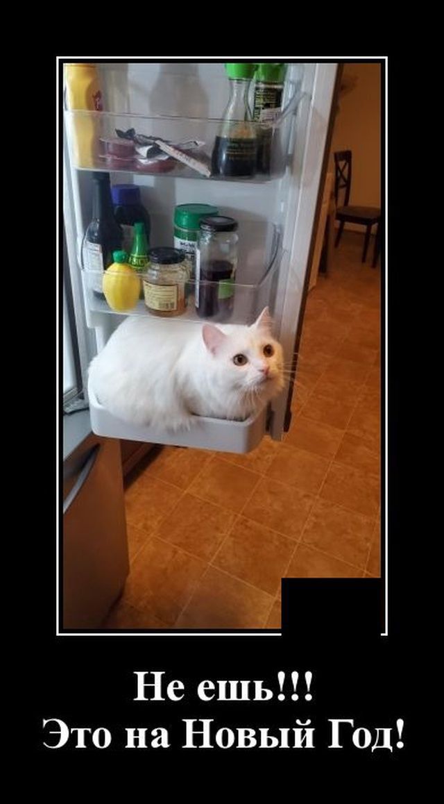 Не ешь Это на Новый Г од