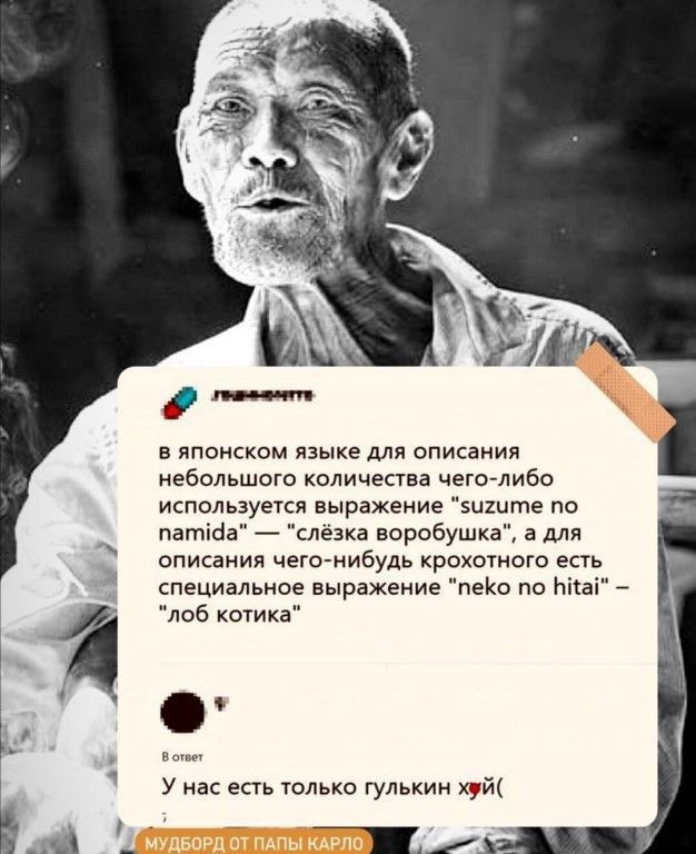 в японском язьіке для описания небольшого количепва мегаглиео используется выражвиие зщите по патпйа _ лезка воробушка а для опикания чегонибудь крпхшиого е специальнпе выражение ено по в лоб кошка у нас есть только м х9й _