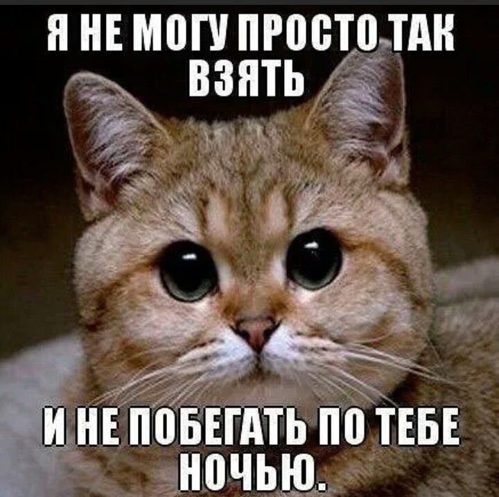 и НЕ МВП пгостшн ЁЁ взять Ё г т _ дночьшд Еповіій по тнЁЕ