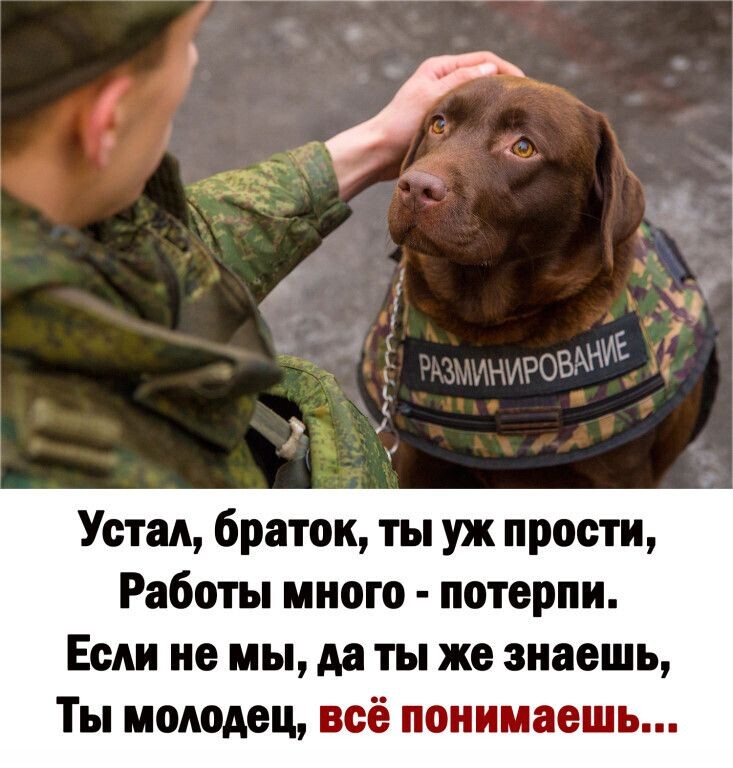 Устал браток ты уж прости Работы иного потерпи Если не мы да ты же знаешь Ты молодец всё понимаешь