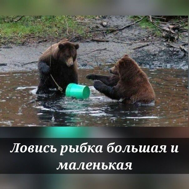 Ловись рыбка большая и маленькая _77