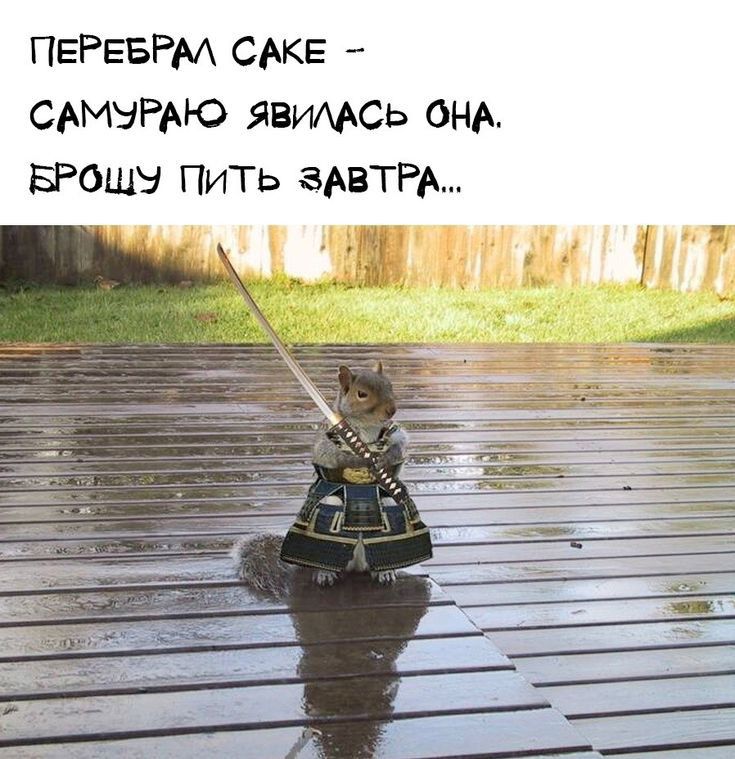ПЕРЕБРМ сАкв САМЫРАЮ язимсь ОНА БРОЩЭ ПиТь ЗАВТРА