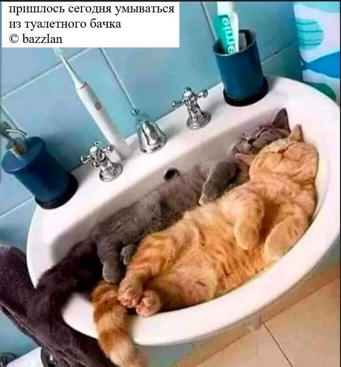 пршпюсь сегнлпя учьшаться шмат бачки Ьааіаи